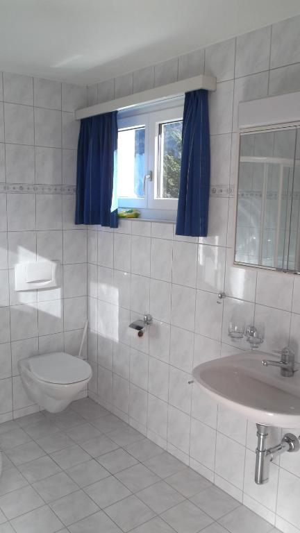 Apartament Casa Collina Disentis Zewnętrze zdjęcie