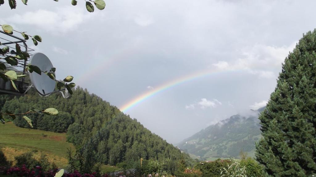 Apartament Casa Collina Disentis Zewnętrze zdjęcie
